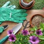 Gardening Tools Names (2023)