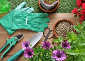 Gardening Tools Names