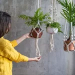 Indoor Gardening In Winter (2023)