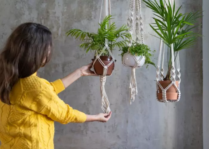 Indoor Gardening In Winter